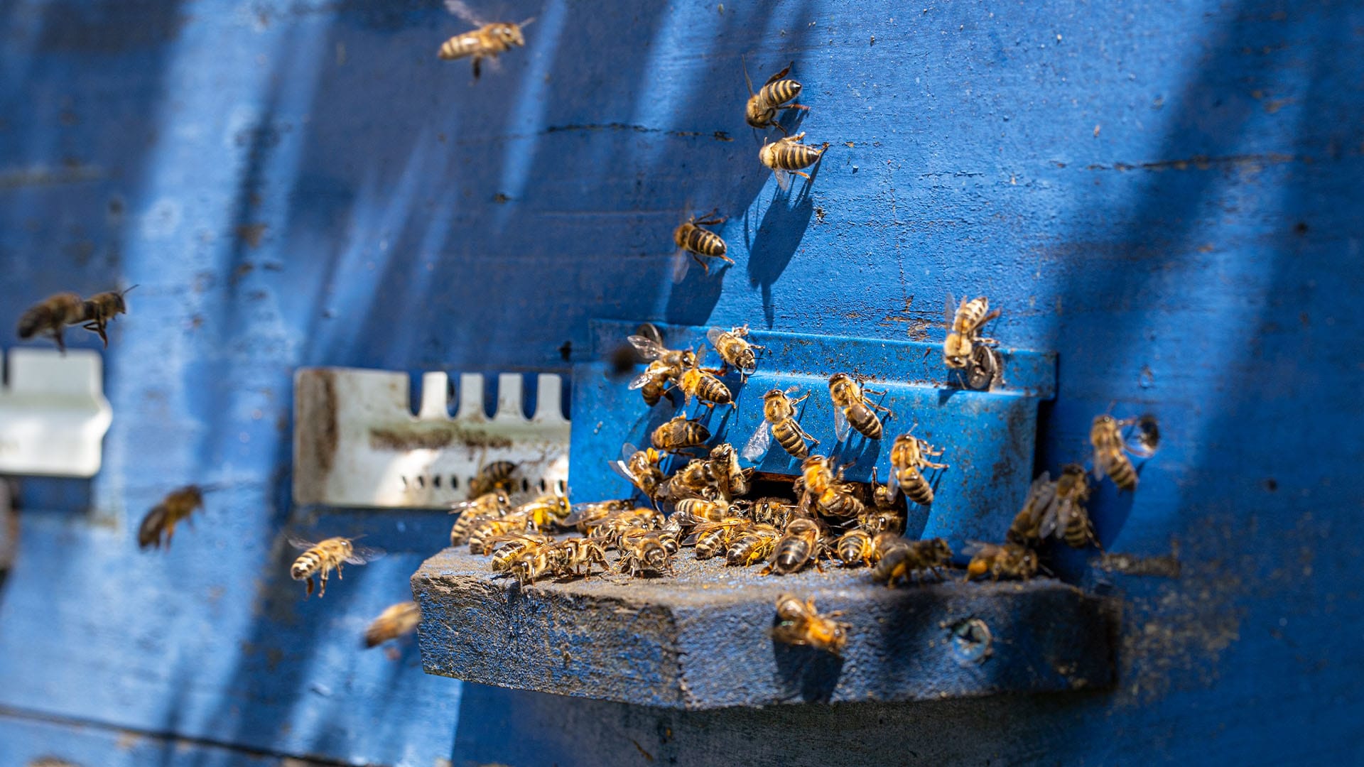 Utjecaj morske vode na vašu kožu: Koristi i opreznosti